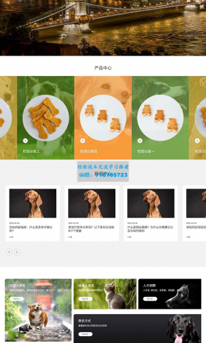 猫粮狗粮网站源码 宠物食品宠物玩具企业网站pbootcms模板