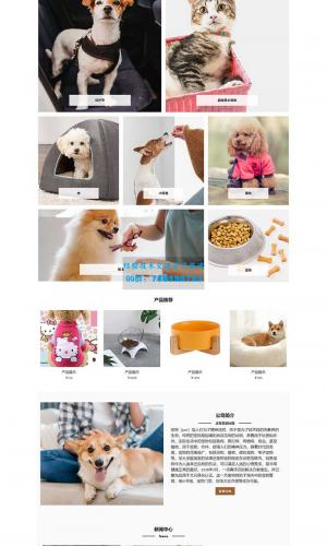 宠物商店宠物网站源码 宠物装备类网站pbootcms模板