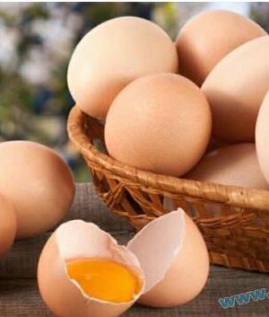 免费模式:鸡场的土鸡蛋免费送，还能赚钱的新模式!