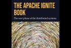     THE APACHE IGNITE BOOK
