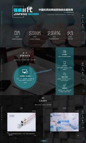 黑色的响应式seo网络营销公司网站模板